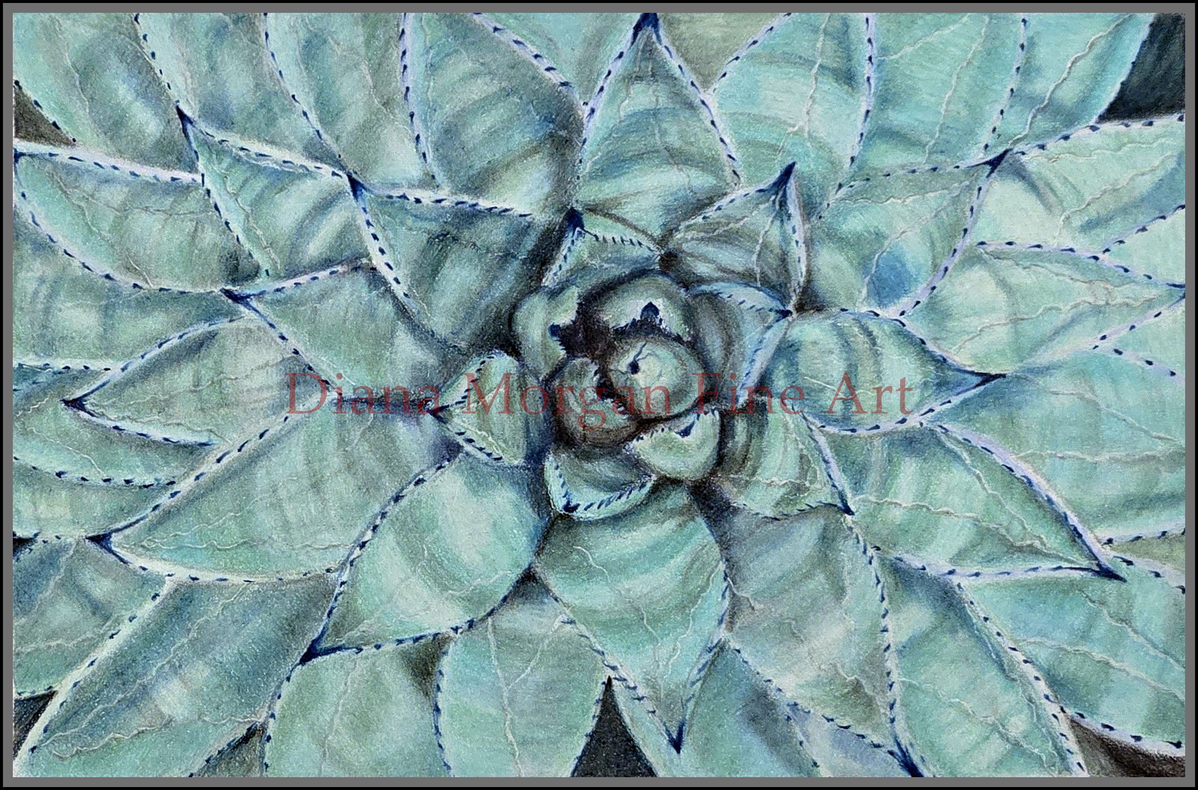 Succulents III
